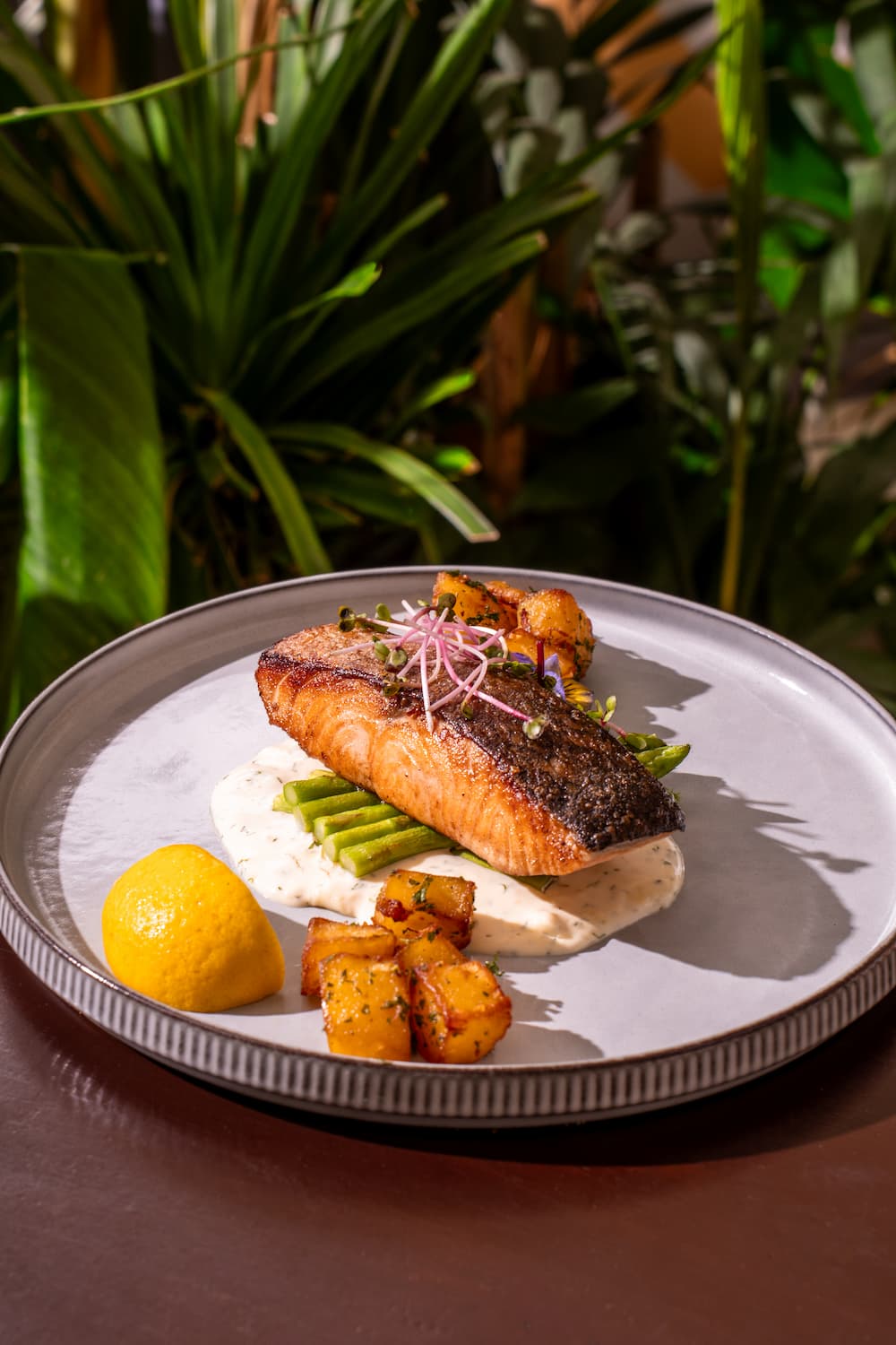 Grilled salmon asparagus